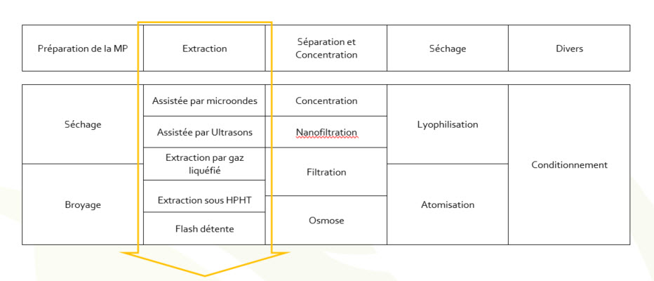 plante-extrait